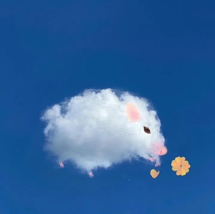 685_1638168633735.jpg