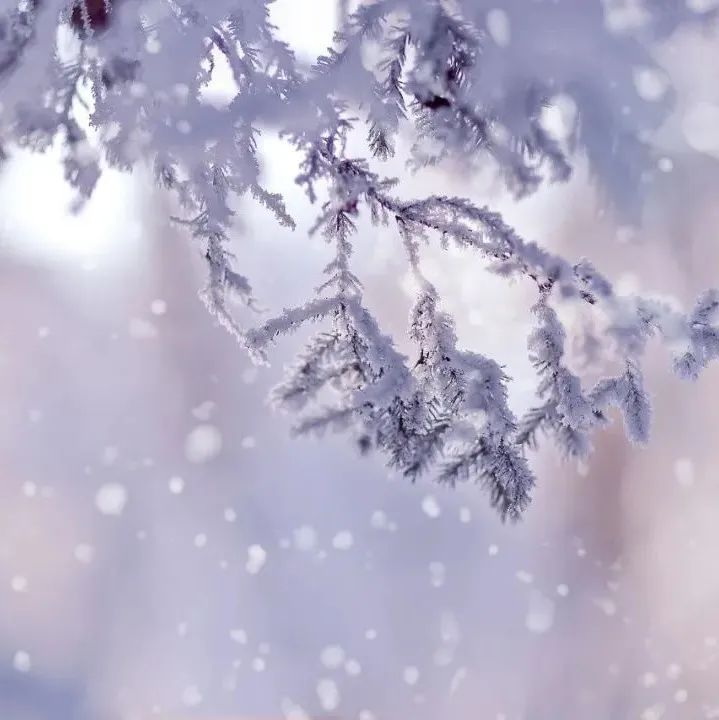 492_1638906032815.jpg