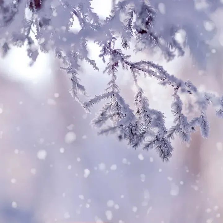 625_1638918607469.jpg