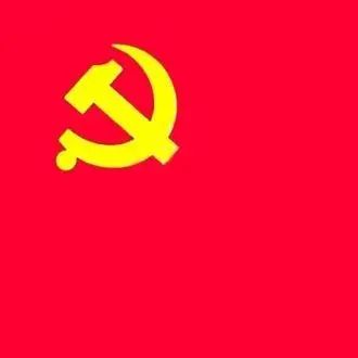 982_1639108952510.jpg