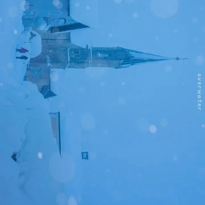 586_1639430113171.jpg