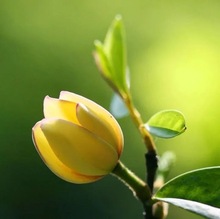 803_1644747314463.jpg