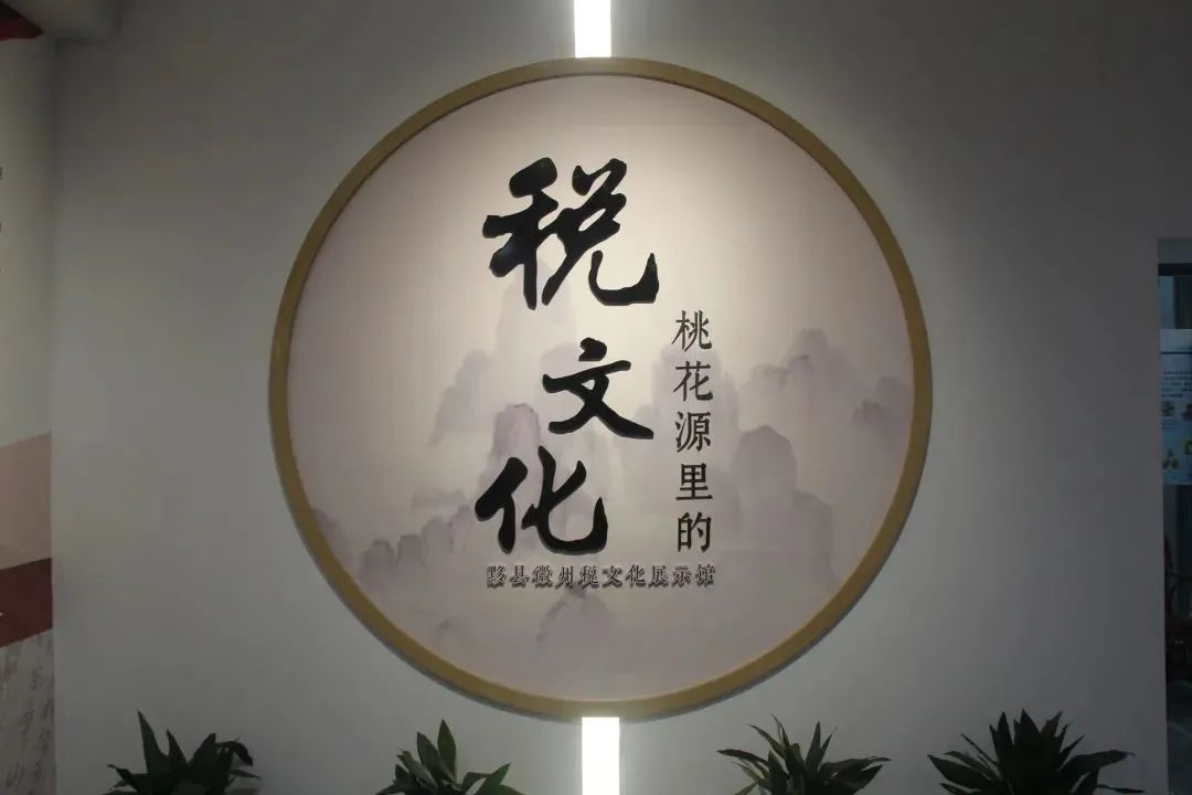 416_1645780525612.jpg