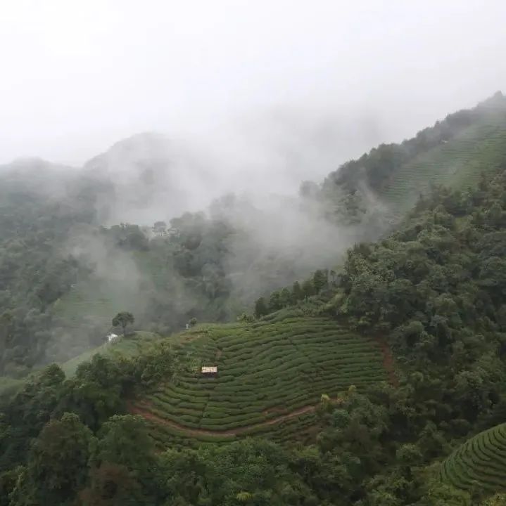 414_1646124652482.jpg