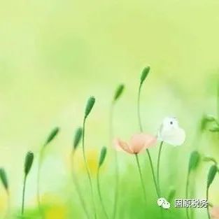 291_1647315999967.jpg