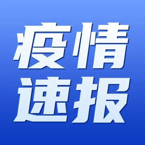 590_1647458496717.jpg