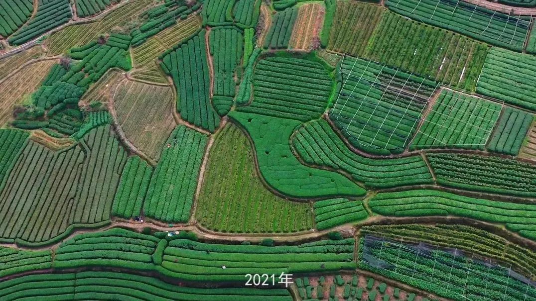 818_1648661413428.jpg
