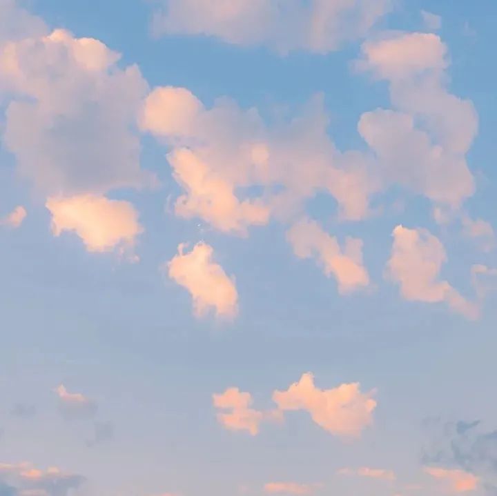200_1648759520480.jpg