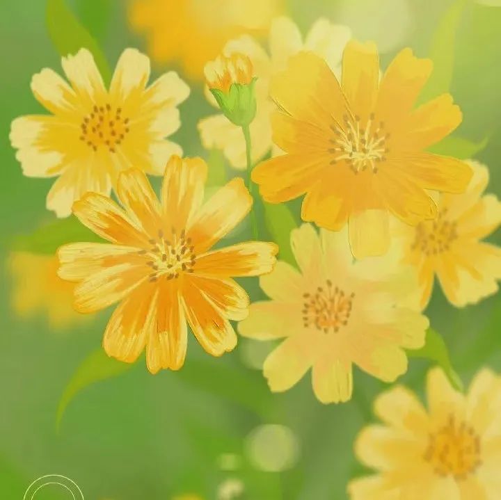 464_1650202834532.jpg