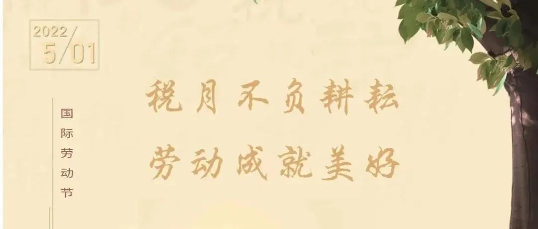 885_1651425922037.jpg
