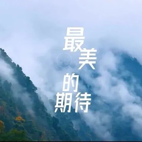 459_1654187159901.jpg