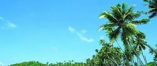 311_1655196909040.jpg