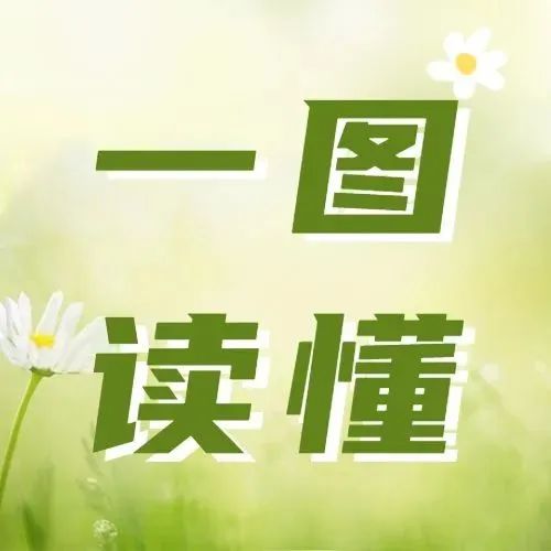 910_1655971542949.jpg