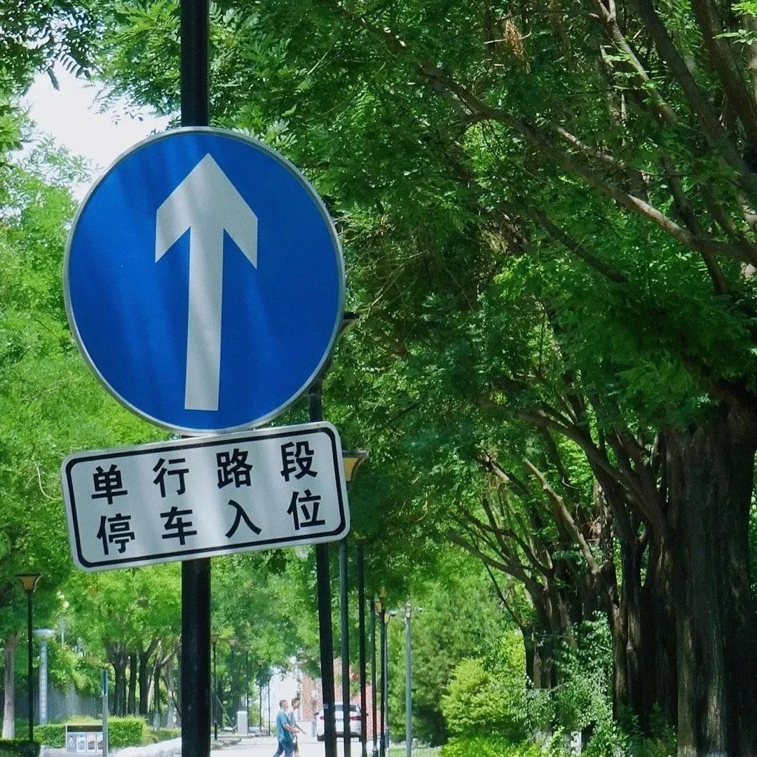 346_1656300615606.jpg