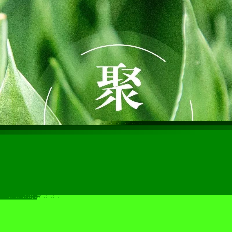 865_1660246511424.jpg