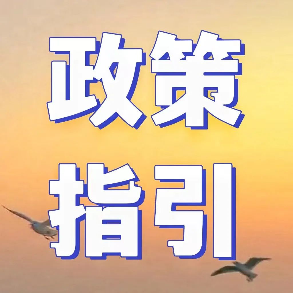 545_1663319741779.jpg