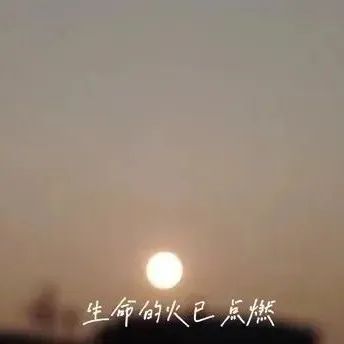 317_1663554370617.jpg