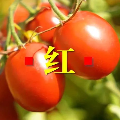 230_1664127013524.jpg