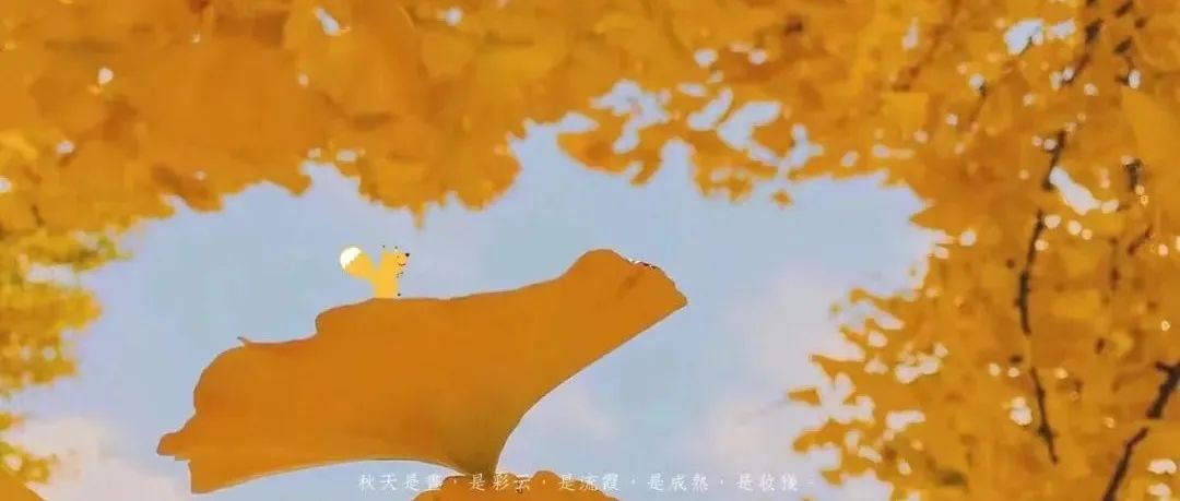 375_1664779216444.jpg