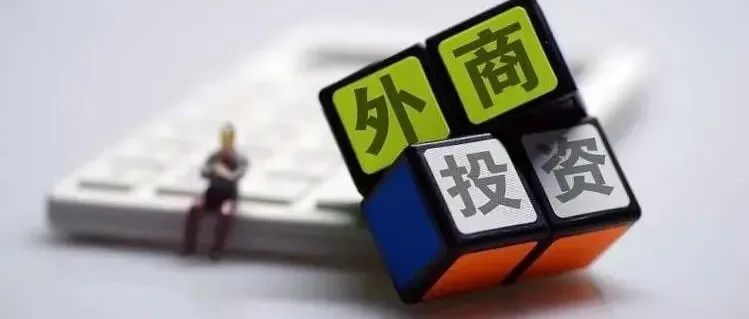 463_1667191545249.jpg