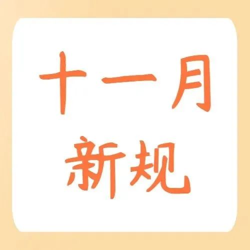 700_1667236817570.jpg