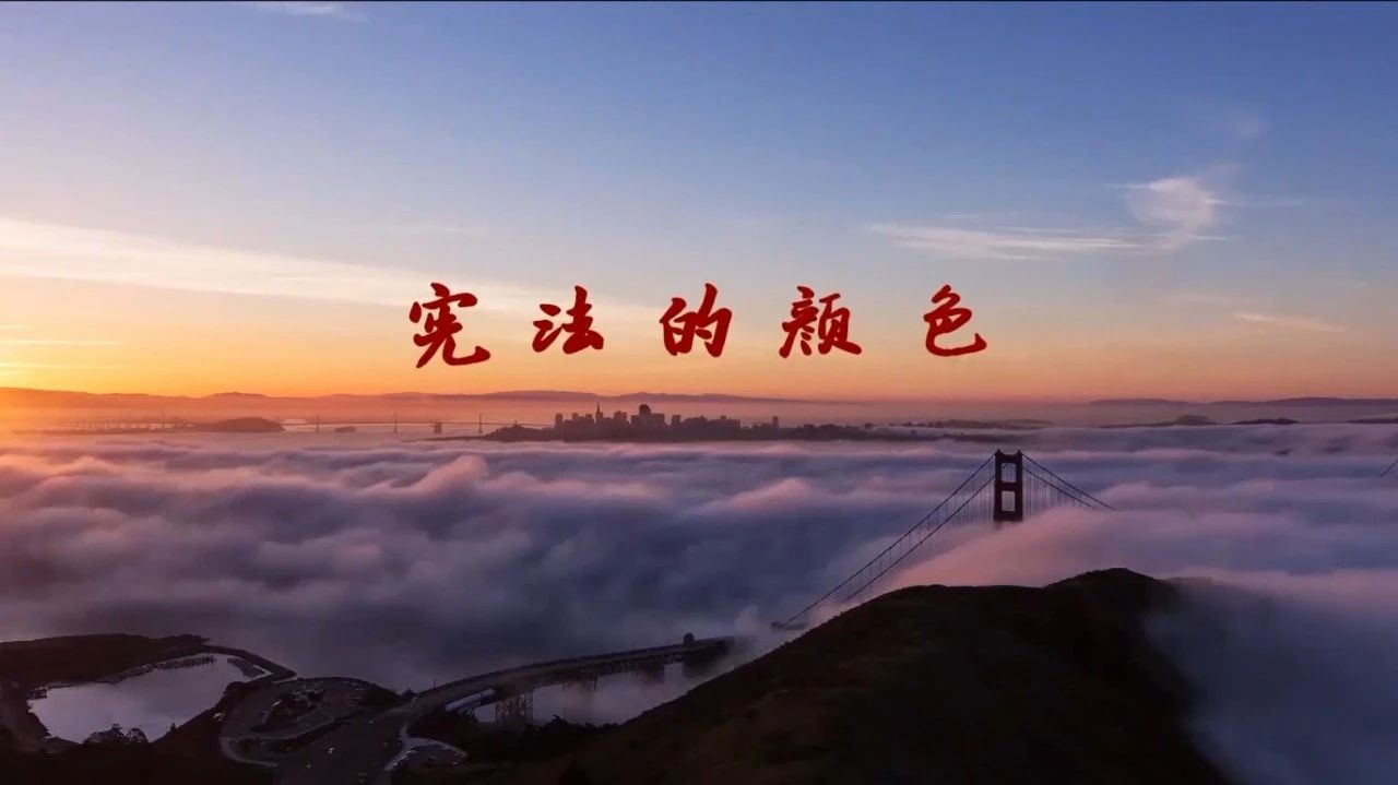 946_1670251029723.jpg