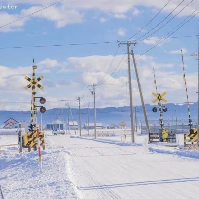 419_1671020406241.jpg