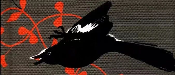 897_1671901829837.jpg