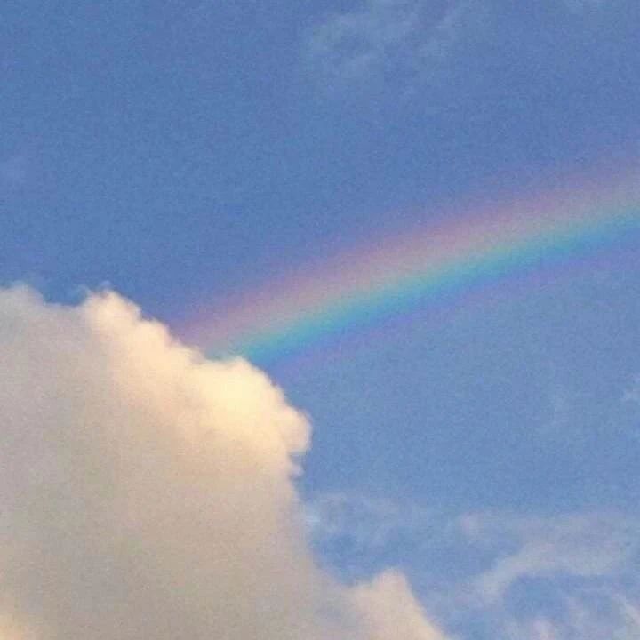 170_1672367735897.jpg