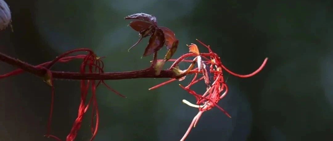 731_1673000710196.jpg