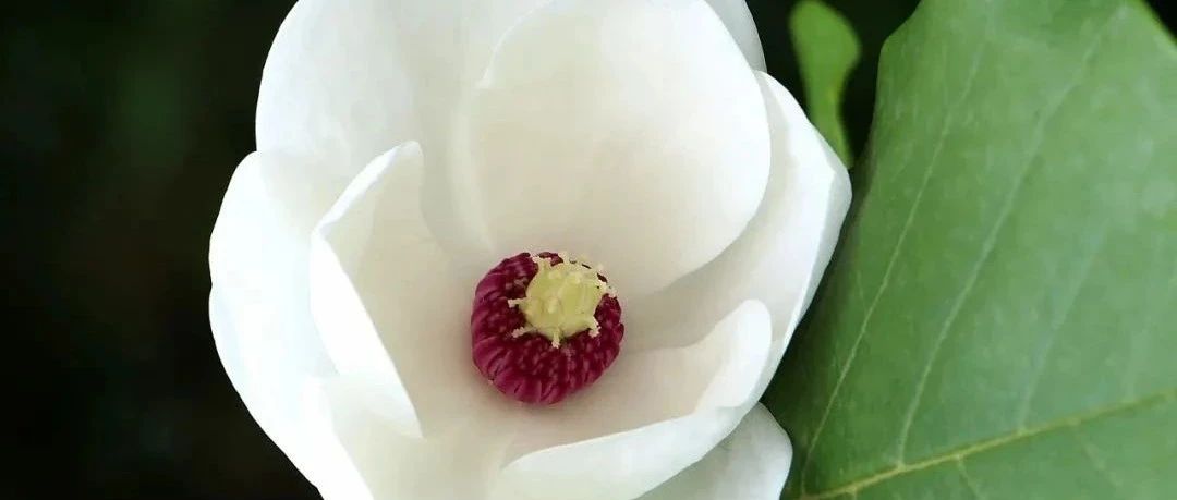 432_1676269228367.jpg