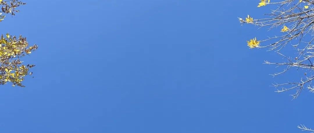 291_1676602248455.jpg