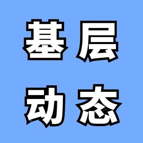 587_1677835304233.jpg