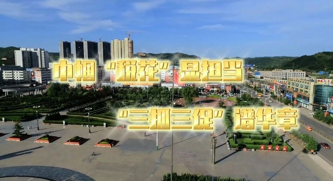 706_1678427148166.jpg