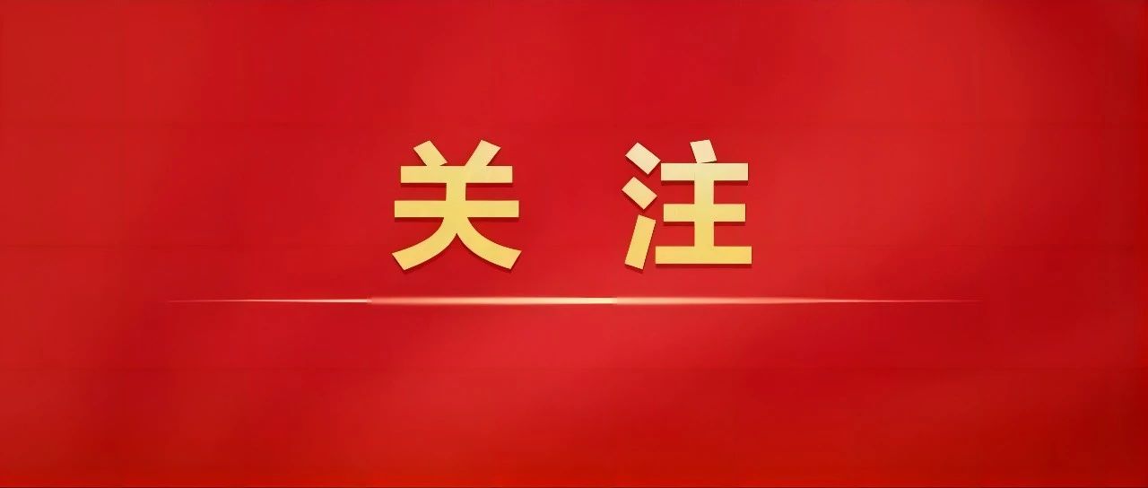 535_1678898705886.jpg