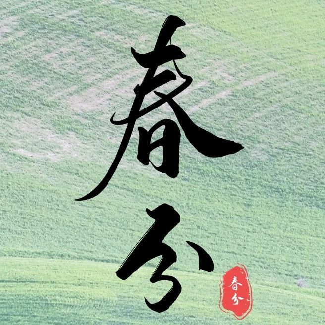 870_1679665220301.jpg