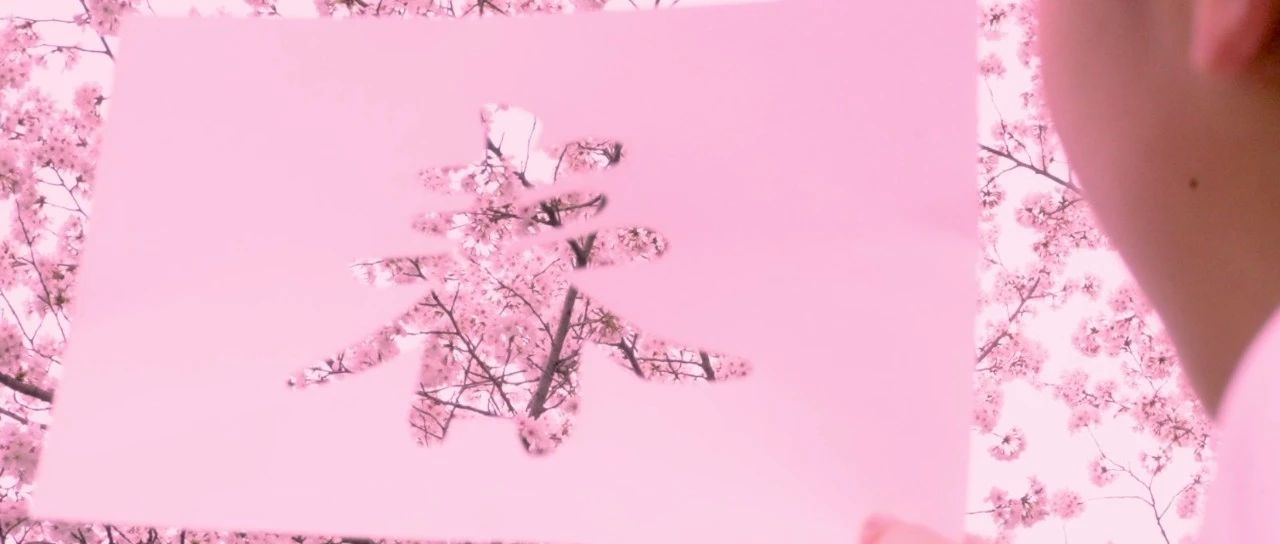 549_1681160418667.jpg