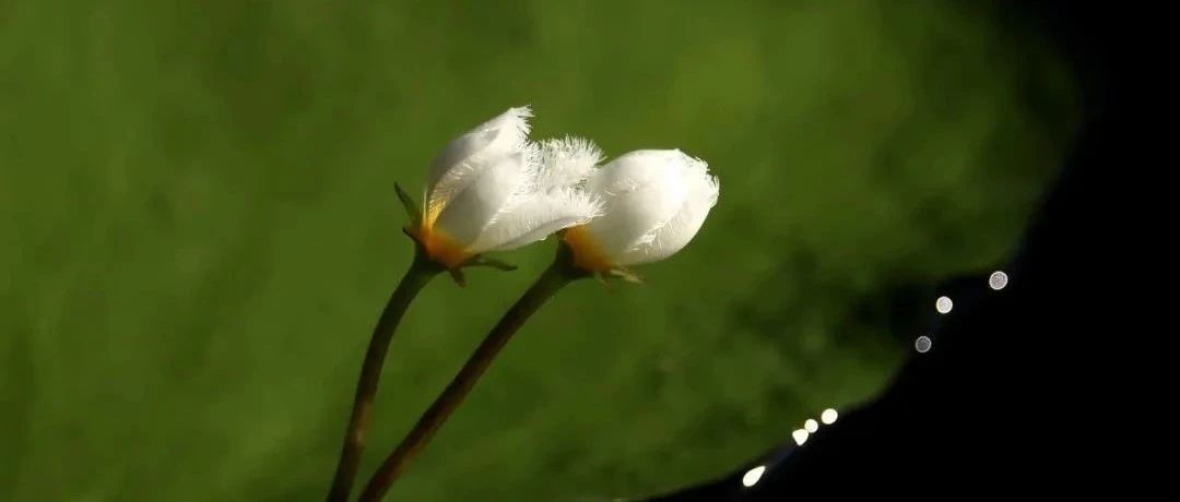 384_1681445108930.jpg