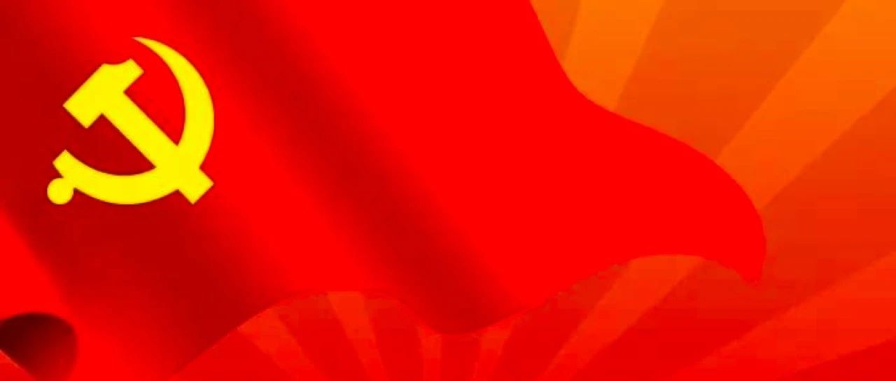 406_1682071572477.jpg