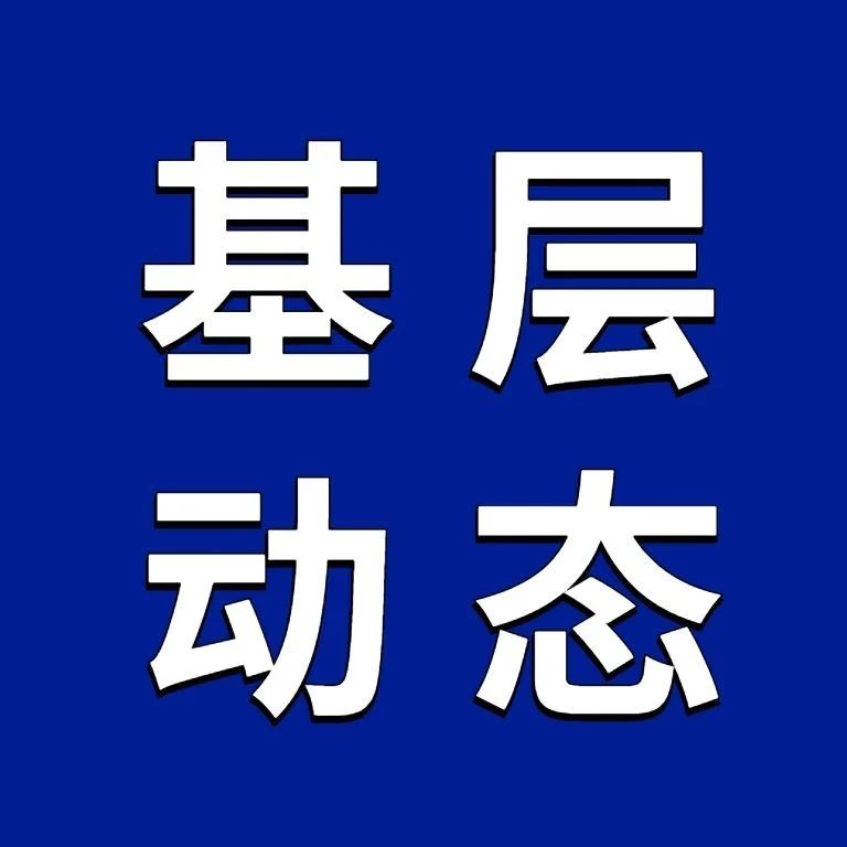 462_1682661967881.jpg