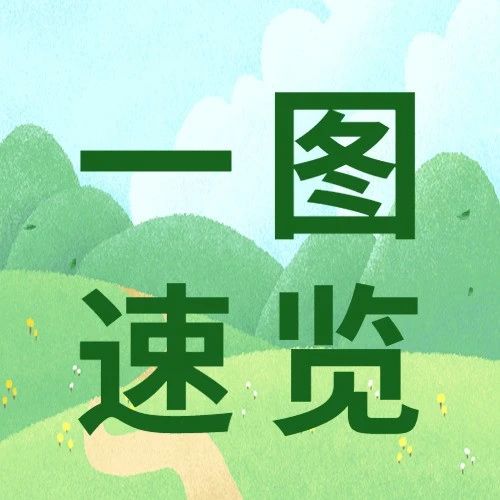 100_1682713215897.jpg