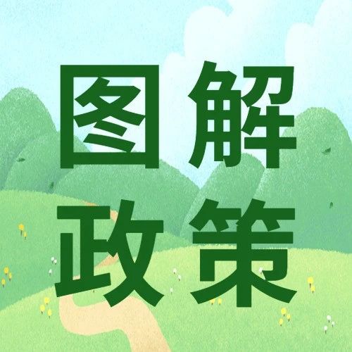 487_1682713207607.jpg