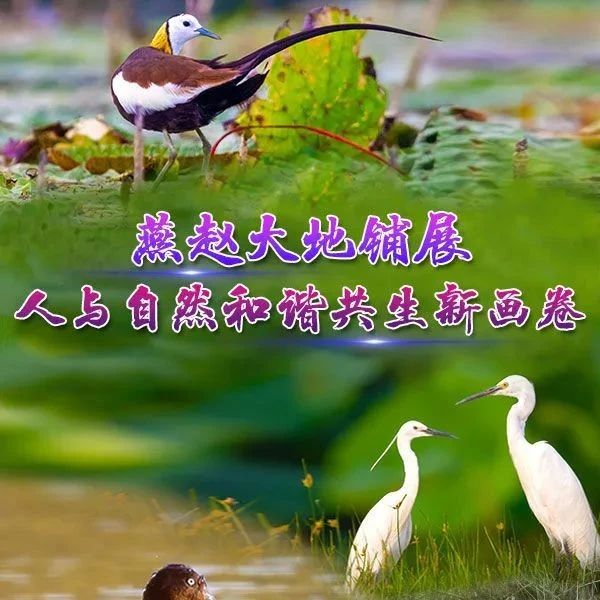 139_1684329930887.jpg