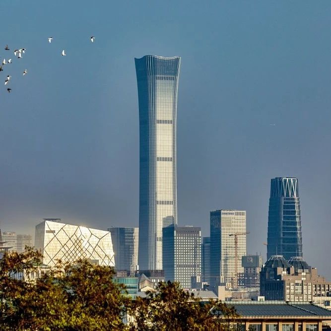 944_1685981441209.jpg