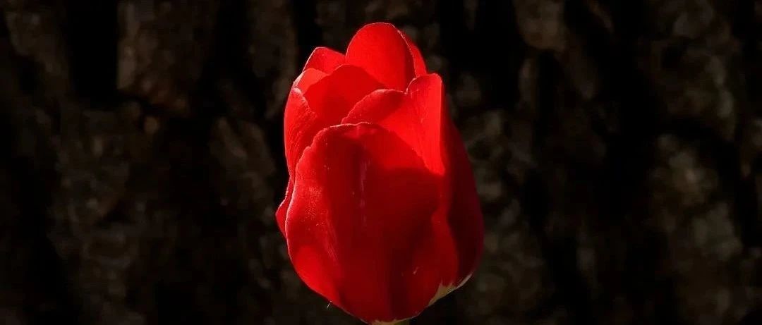359_1688356204775.jpg