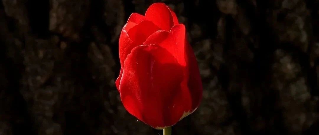 126_1689094204665.jpg