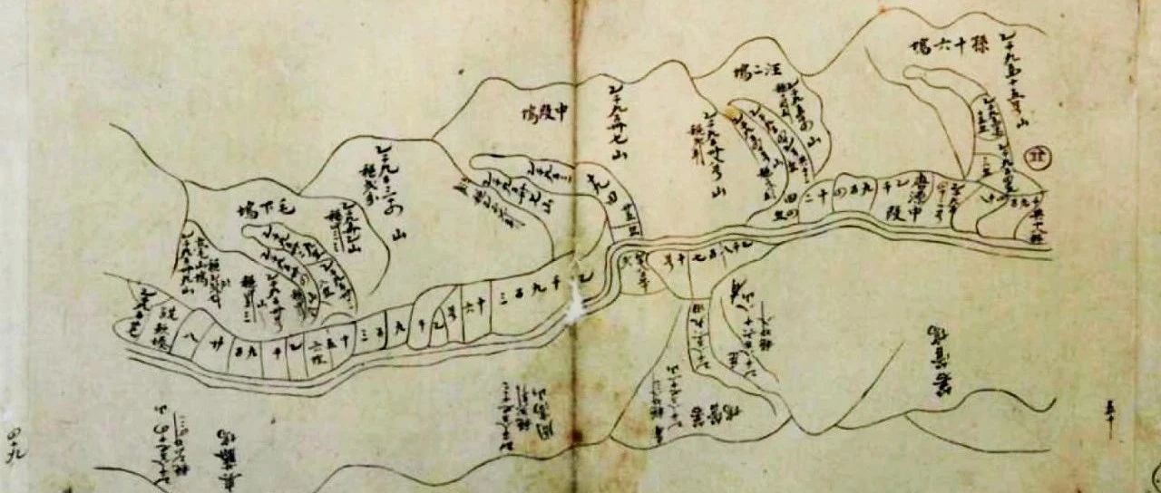 622_1689874505403.jpg