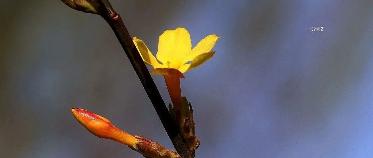 946_1690519206219.jpg