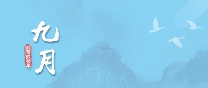 945_1693862436871.jpg