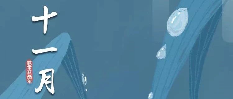 185_1698873916946.jpg
